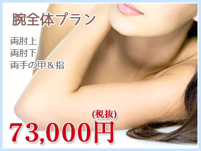 腕全体プラン