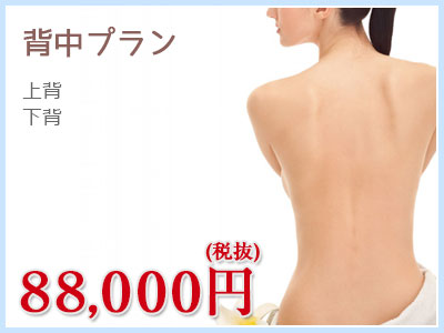 背中プラン