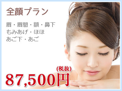 全顔プラン