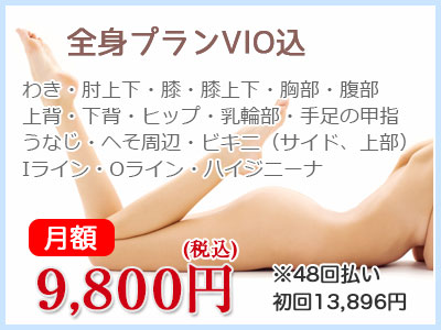 10周年限定 月額全身プランＶＩＯ込