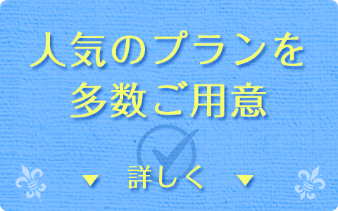 人気のプランを多数ご用意