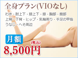 月額　全身脱毛ＶＩＯなし