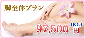 脚全体プラン